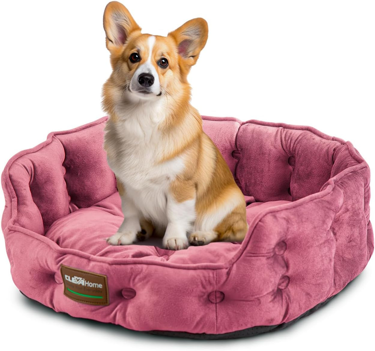 Betten und Sofas, Decken und Möbel, Haustiere, Katzen, Betten für Katzen, Katzenbetten, Matratzen