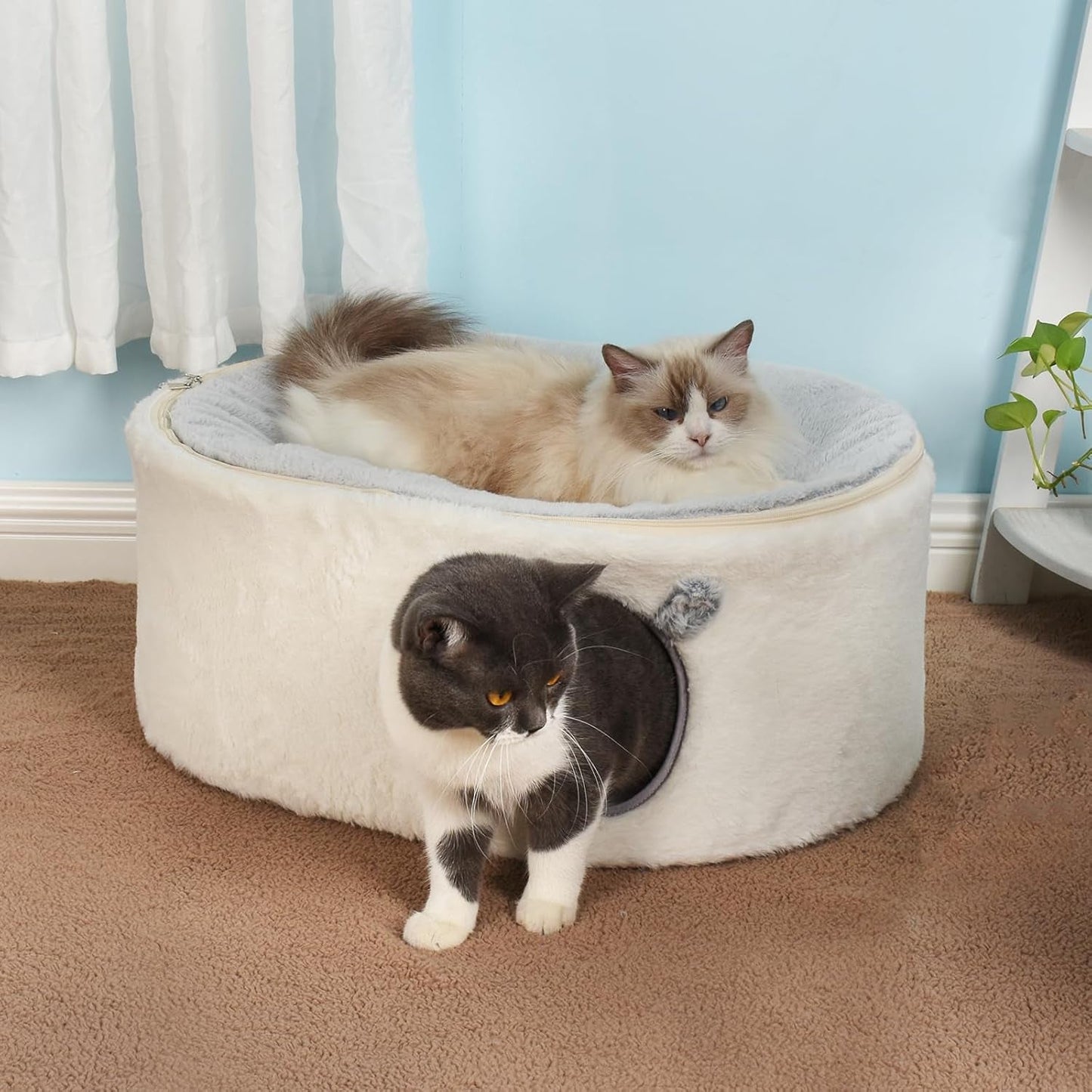 Decken und Möbel, Haustiere, Höhlen und Häuser, Katzen, Betten für Katzen, Katzenbetten, Matratzen