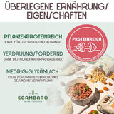 Bio-Penne-Rigate-Nudeln N.91 – 500 g mit Dinkelmehl, Linsenmehl und Quinoa-Mehl – ​​reich an Proteinen, Ballaststoff- und Proteinquelle