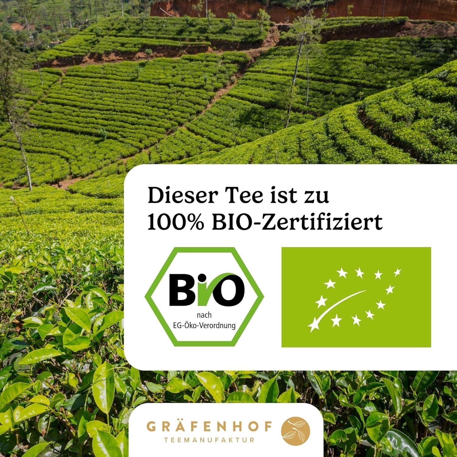 Bio-Yerba-Mate-Tee, das Original, 1 kg loser Mate-Tee, hoher Koffeingehalt, ungeröstet, luftgetrocknet, im Labor getestete Mate-Blätter, verpackt in Deutschland, Premium-Qualität von Gräfenhof