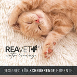 Decken und Möbel, Haustiere, Höhlen und Häuser, Katzen, Betten für Katzen, Katzenbetten, Matratzen