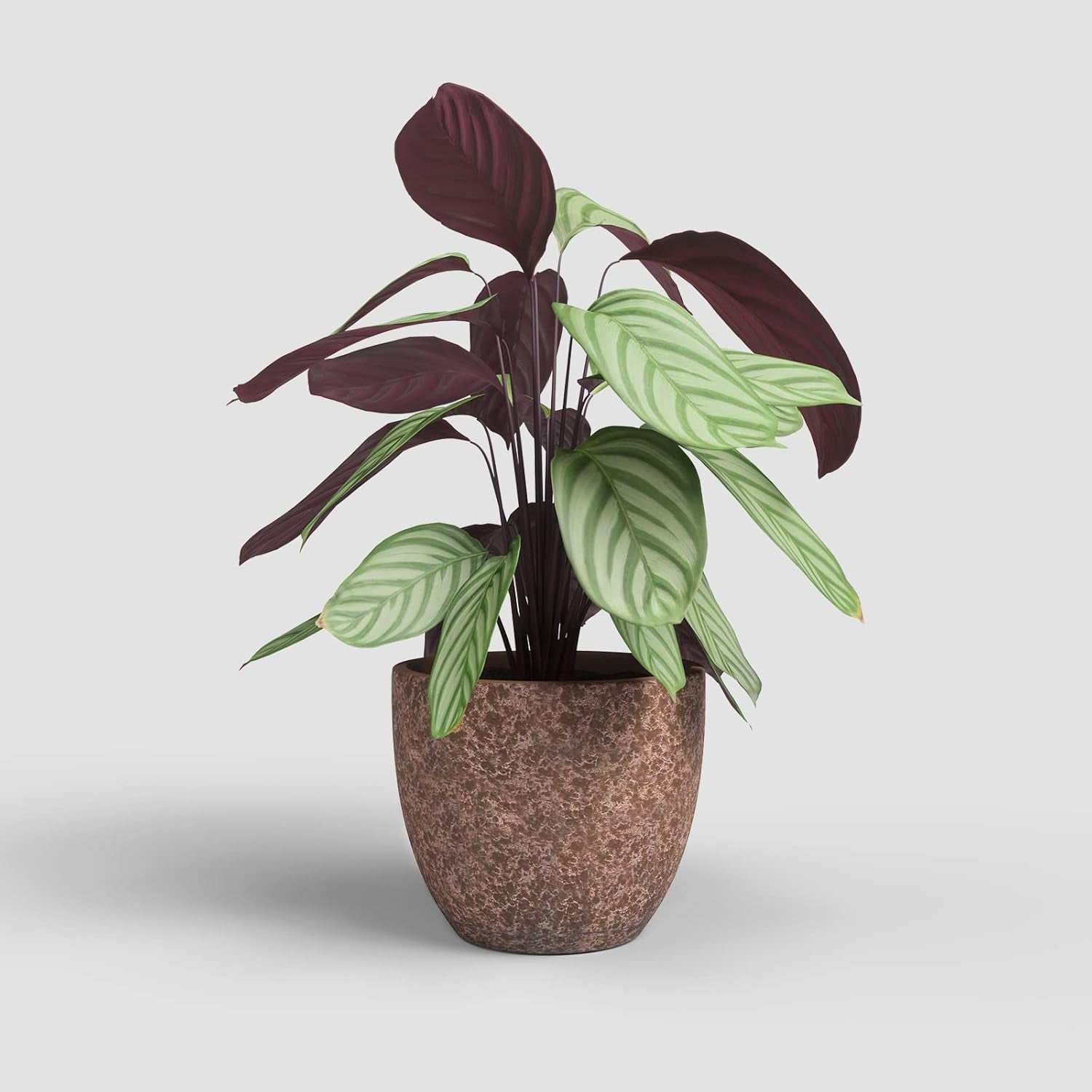 Artevasi Hestia Blumentöpfe, Blumentöpfe, dekorative Töpfe, komplexe Textur, handgefertigte Keramik, Terrakotta-Farbe, 17 cm