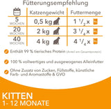 IAMS Delights Kitten Nassfutter - Multipack Katzenfutter mit Hunn in Sauce, hochwertiges Futter für Junior Kätzchen von 1-12 Monaten, 12 x 85 g