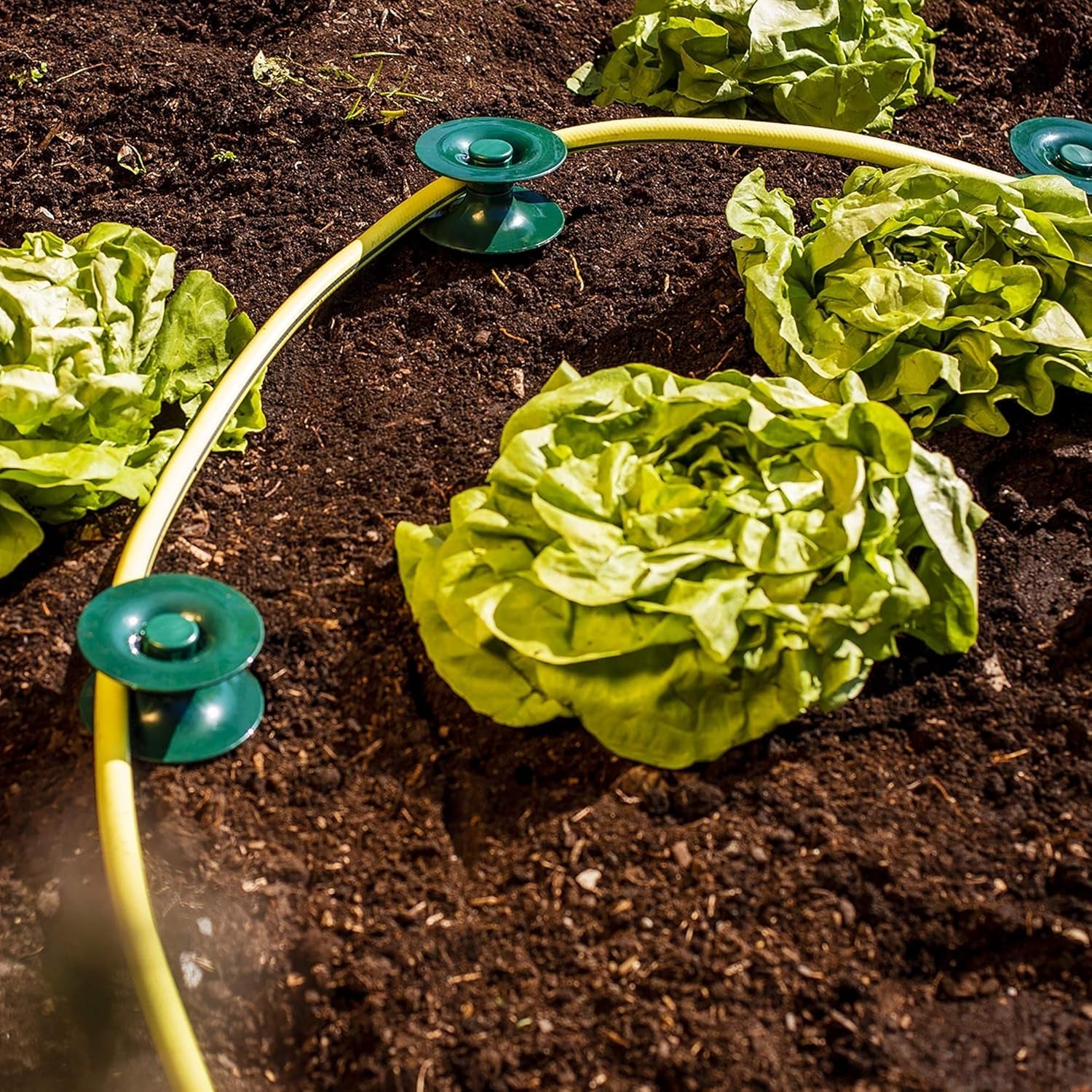 3er-Set Schlauchführungen, grün, 24 x 9 cm | Gartenschlauch- und Kabelführung mit Erdanker | Schlauchtrommel zum Schutz von Beeten und Hauswänden | Haspel für Gartenschlauch und Kabel