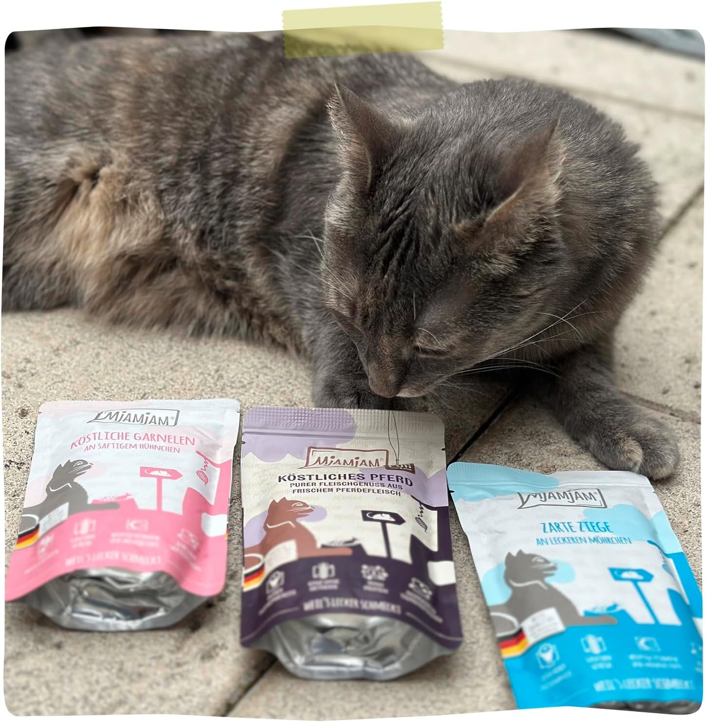 MjAMjAM – Premium-Nassfutter für Katzen – Köstliche Box 12er-Pack (12 x 200 g), getreidefrei mit extra Fleisch