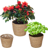 Relaxdays Blumentöpfe aus Seegras, 3er-Set, runder Pflanzkorb für Blumen und Kräuter, mit Folie, 3 Größen, Übertopf natur