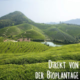 KLUIZ Gyokuro Tokiwa Bio – Erste handverlesene Ernte – Japanischer Grüntee I 100 Gramm I Bio-Grüntee