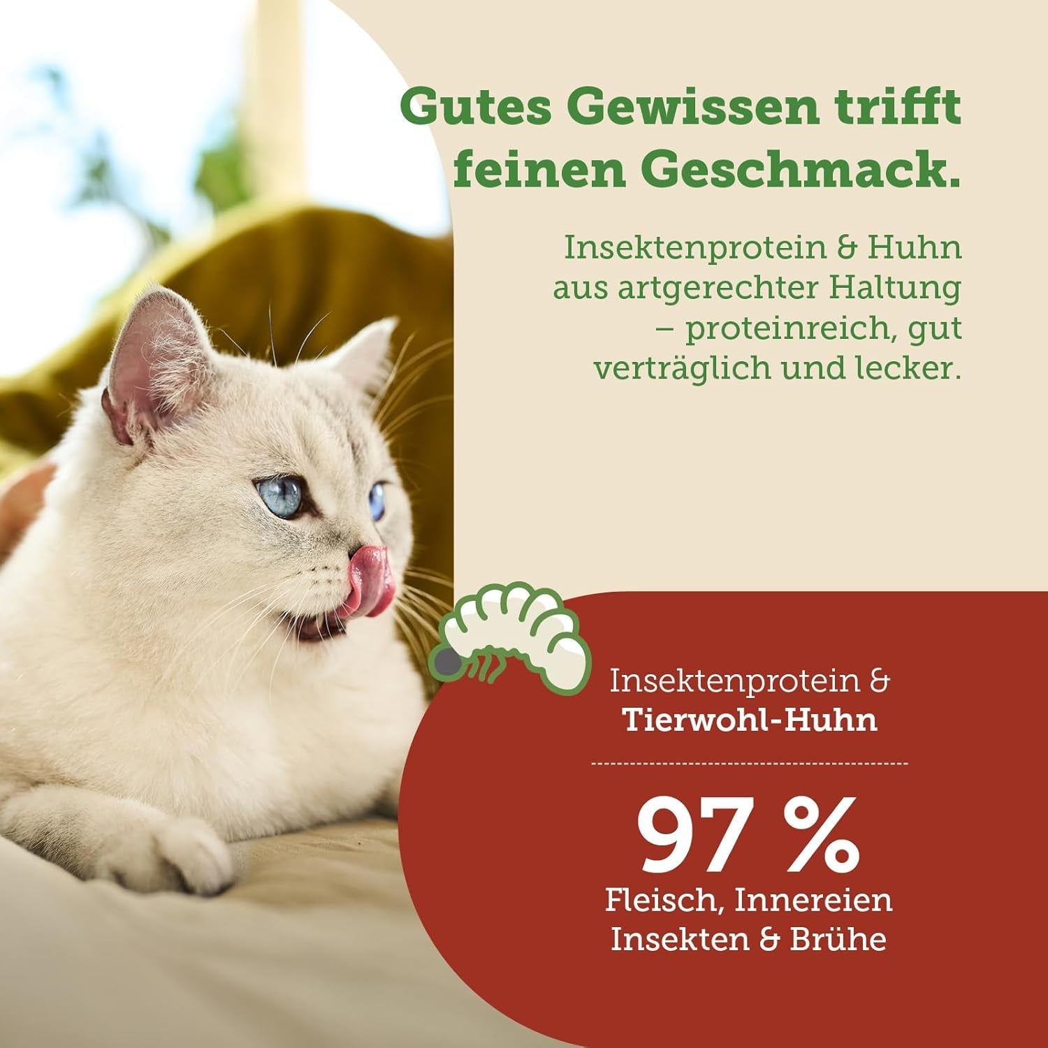 MERA Cats Nature Insect Premium Katzenfutter Nass 12x85g | ohne Zucker und Getreide| Nachhaltig & mit viel Insektenprotein | Katzennassfutter für Erwachsene