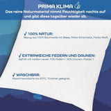 LINEA von Böhmerwald - Cozy - Hochwertiges Balance-Kissen, 80X80, 70 % Federn der Klasse 1, 30 % neue Daunen, allergikergeeignet, waschbar bis 60°C, hergestellt in Deutschland Naty Shop Standardkissen