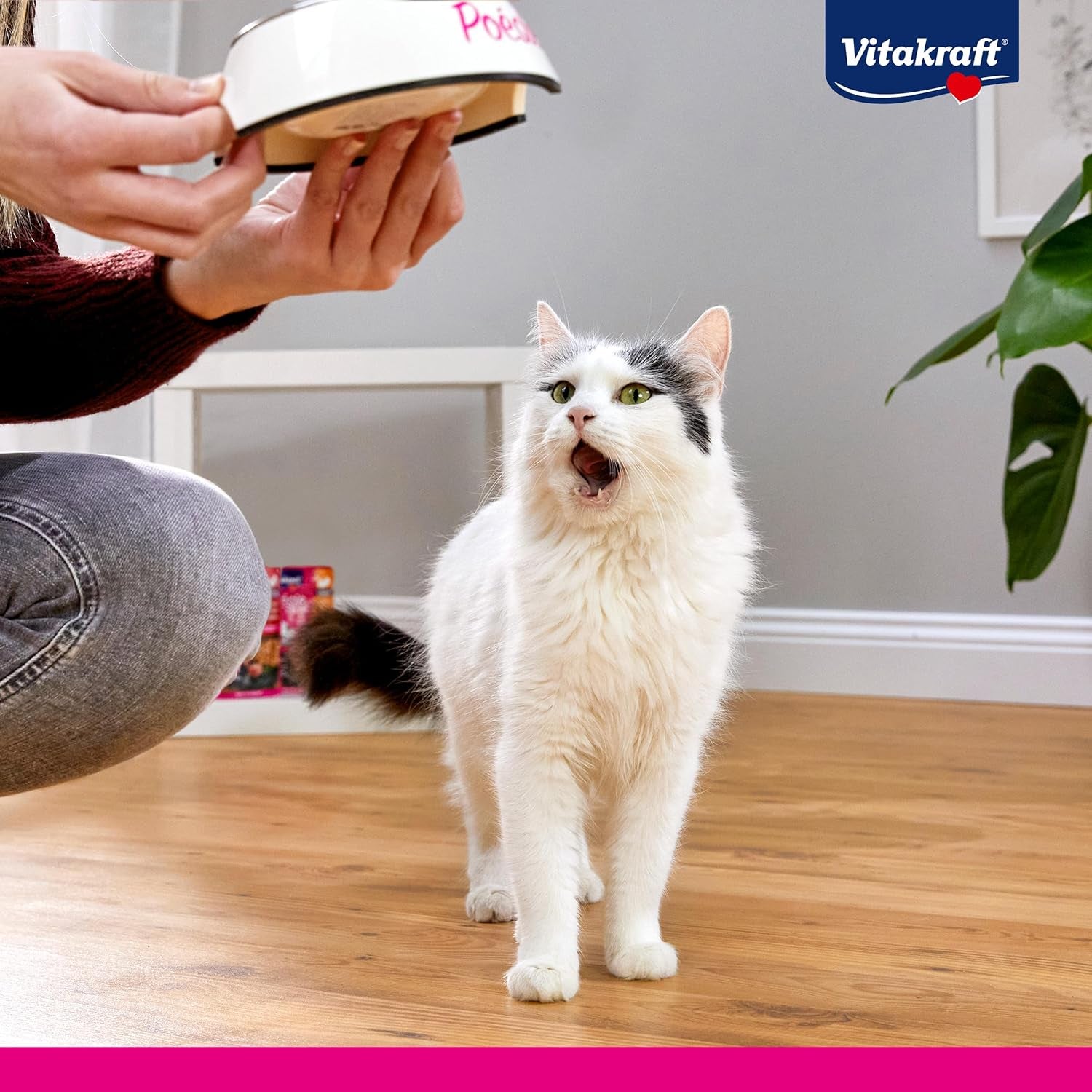 Vitakraft Poésie Création, Tender Selection, Nassfutter für Katzen, Nassfutter für Katzen in Soße, mit Huhn, mit Truthahn, mit Rindfleisch, ohne Zuckerzusatz und Getreide (1 Packung à 6 x 85g)