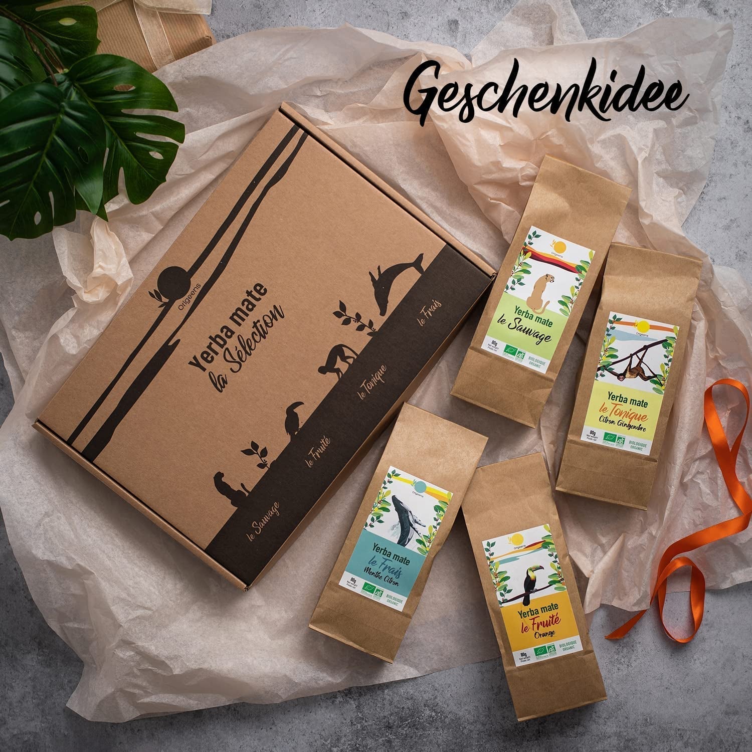 ORIGEENS BIO MATE TEE GESCHENKSET X4 I Yerba Mate Bio 4X80G I Yerba Mate Teeset, Geschenkidee