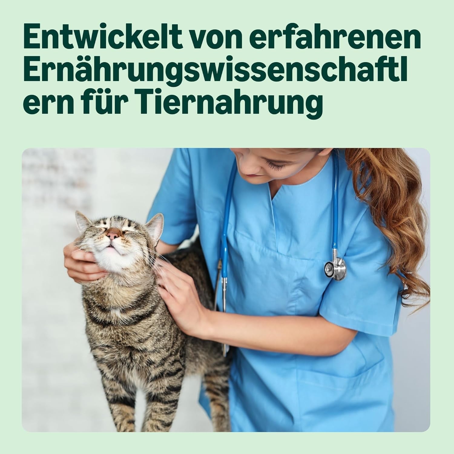 Getreidefreies Nassfutter für Katzen von Amazon für ausgewachsene Katzen, Fleischauswahl in Brühe, 4,76 kg, 56 Packungen à 85 g (ehemals lebenslang)