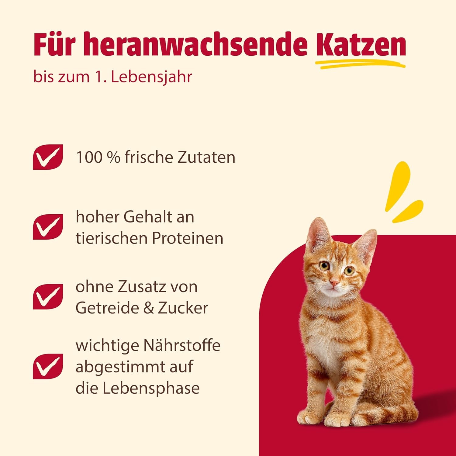 animonda Carny Katzen Nassfutter Kitten Chicken + Pute (12 x 400g), Kitten getreidefreies Katzennassfutter ohne Zucker für wachsende Kätzchen bis 1 Jahr, mit frischen Zutaten
