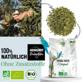 ORIGEENS BIO YERBA MATE TEE 1 KG – Das Original I Ungeröstet, Blätter, ohne Stiele, Staub und Krümel I Energetisierendes und entgiftendes Getränk
