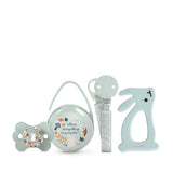 Suavinex-Geschenkset für Neugeborene. 4-teiliges Set bestehend aus: Physiologischer SX Pro-Schnuller für Babys von 0 bis 6 Monaten + Schnullerhalter + Duo-Schnullerhülle + Beißring aus Silikon. Wunderland, beige
