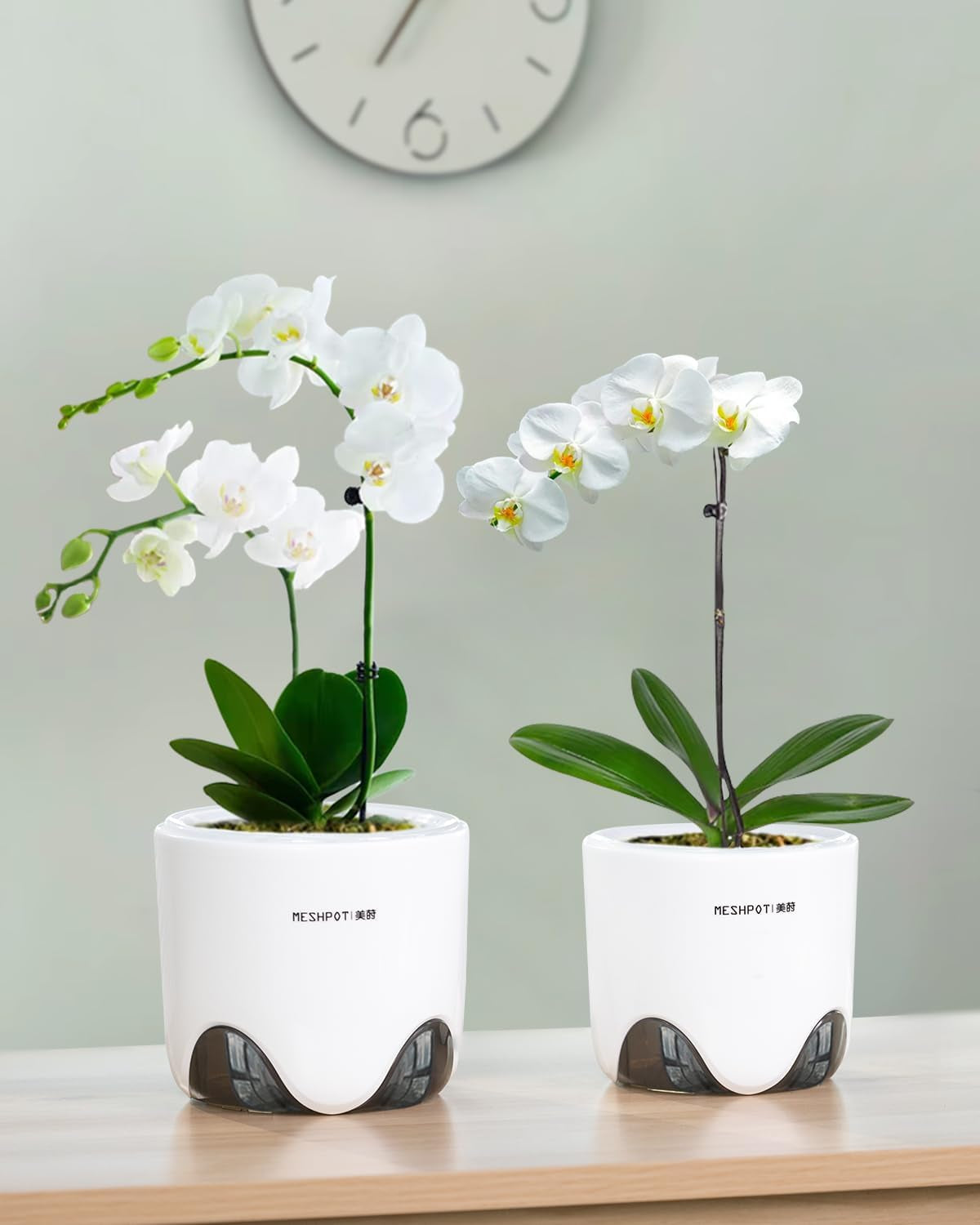 Orchideen-Blumentopf mit Drainagelöchern zum Umpflanzen, hervorragende Luftzirkulation, 2 Stück, doppelschichtiger Kunststoff, Keramik-Orchideen-Übertopf, transparenter Orchideen-Blumentopf, dekorativ