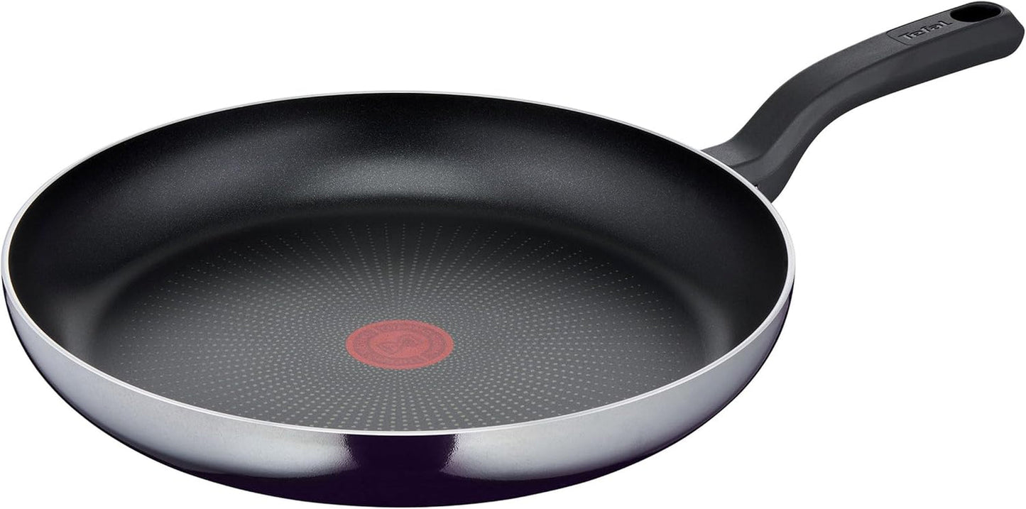 Tefal D52606 Resist, Titan-Antihaftbeschichtung Töpfe und Pfannen Naty Shop 32 cm