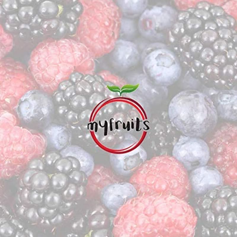 Myfruits Ananasfruchtpulver 500 Gramm Arome Naty Shop