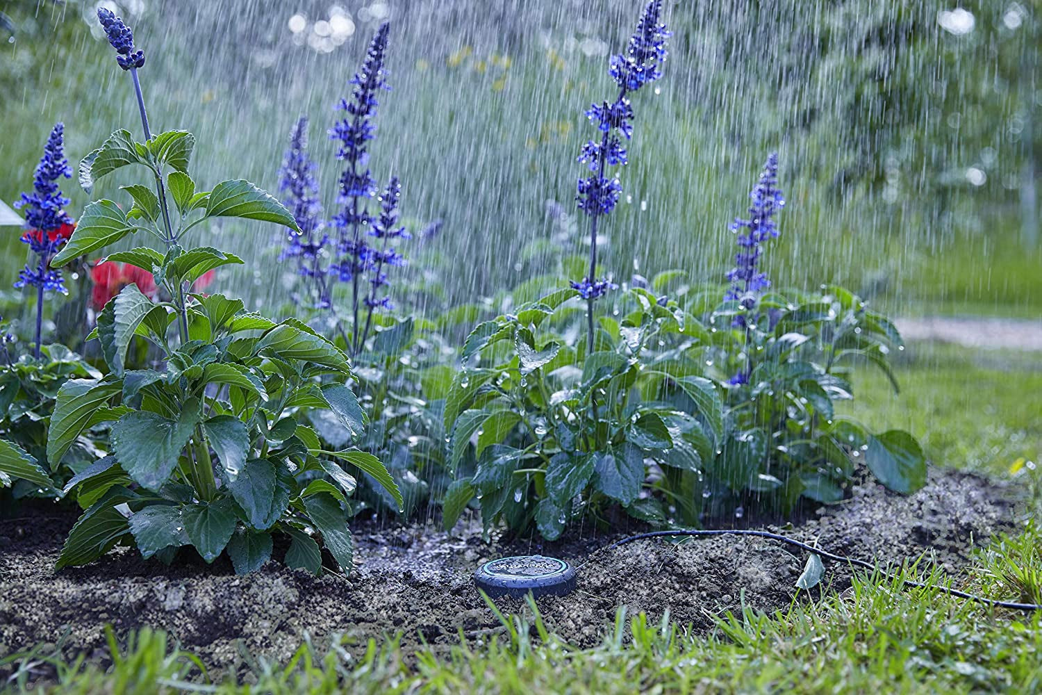 Gardena Verlängerungskabel (10 m) für Regensensor und Bodenfeuchtesensor, Verbindungskabel mit Easy Click System, verlängerbar bis 105 m, für ober- und unterirdischen Einsatz (01868-20)