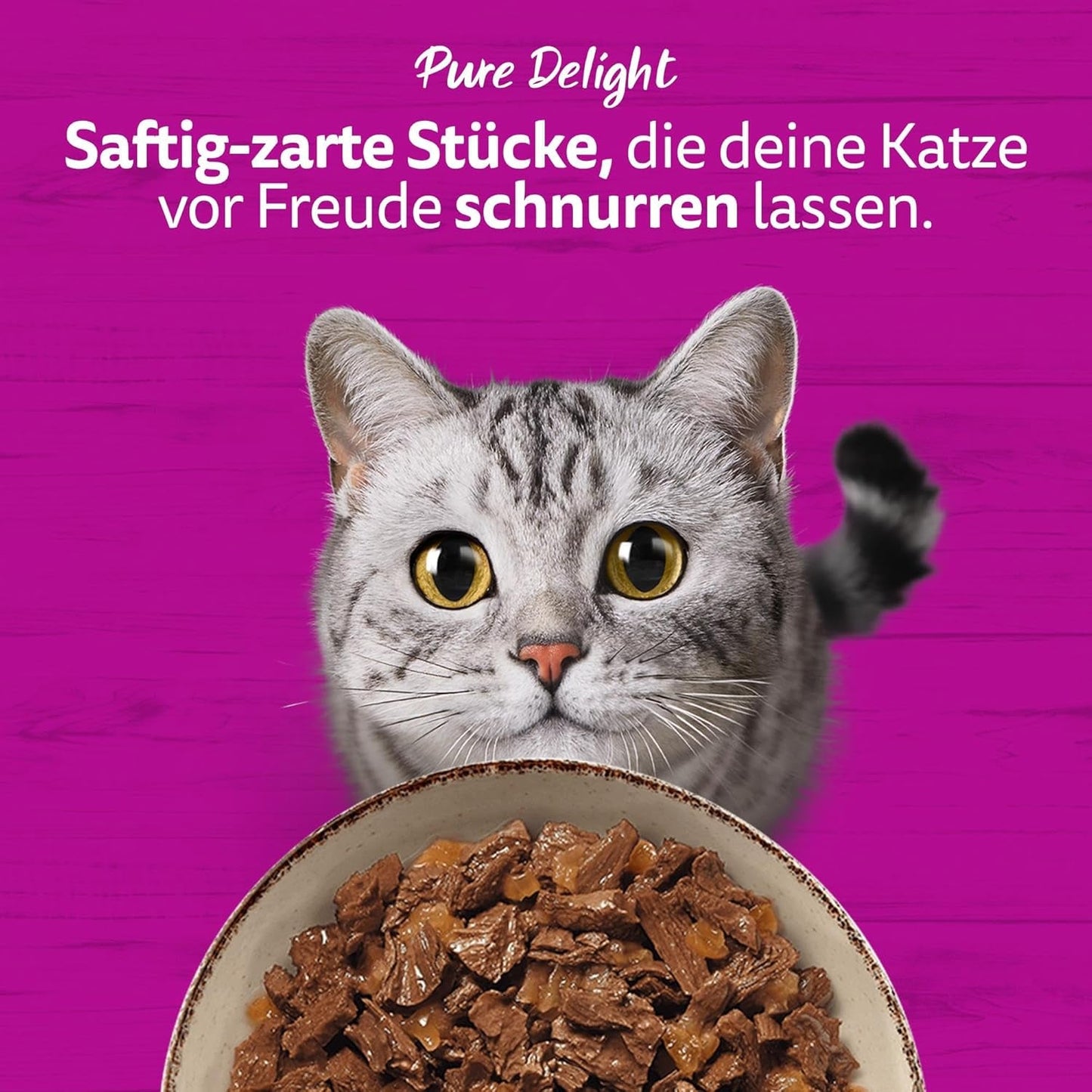 WHISKAS PURE DELIGHT Nassfutter in Gelee 24 x 85g Classic Ragout (4 Packungen) 48 Portionsbeutel
