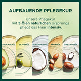 Garnier Nutrisse Permanente Pflege-Haarfarbe mit pflegenden Fruchtölen, 8 Wochen Halt, Farbe Ultra Crème Tint 053 Samtbraun (3er-Pack), Naty Shop Haarfarbe