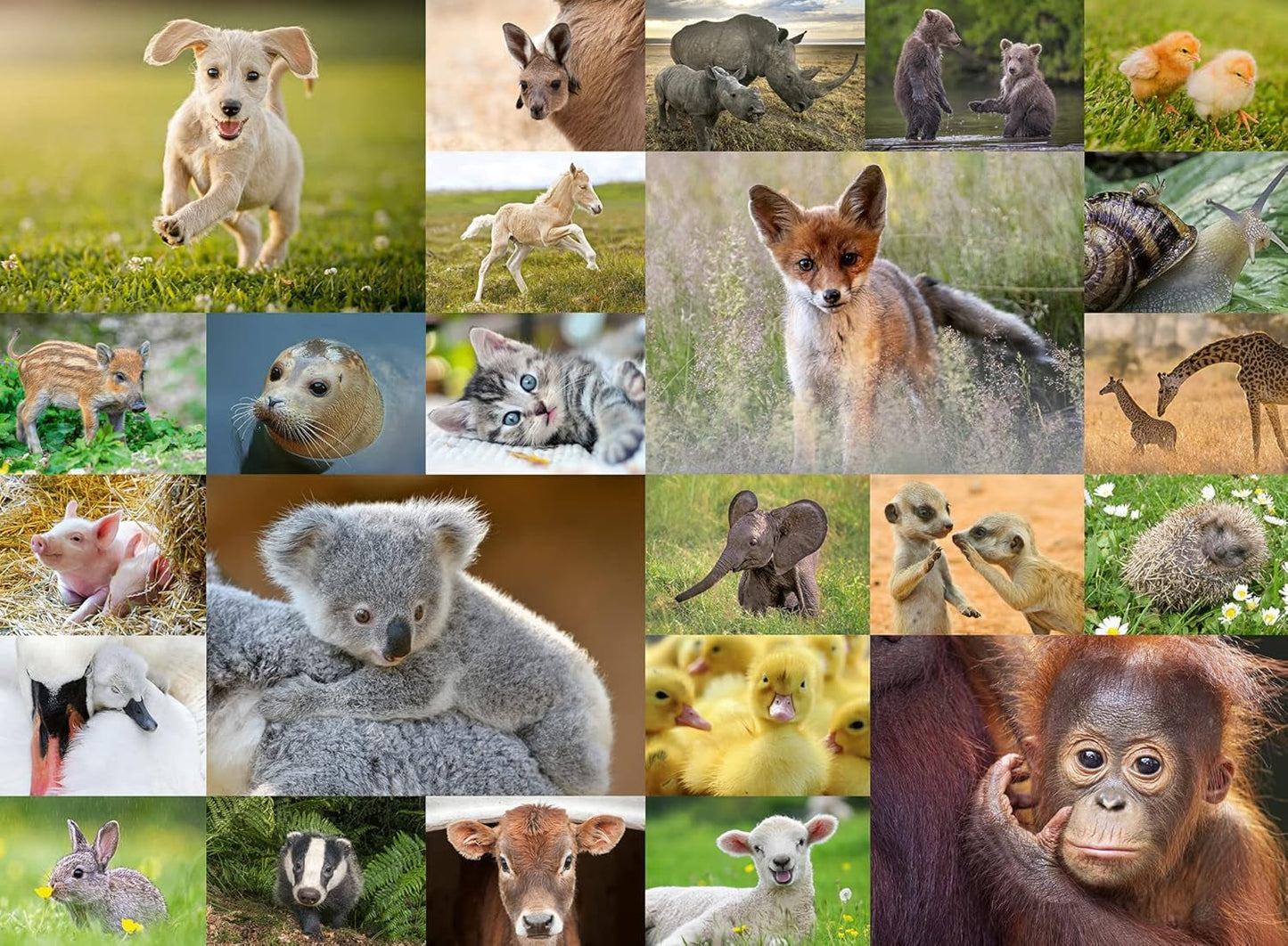Ravensburger Puzzle für Kinder – 13353 Süße Tiere für Kinder – 200-teiliges Puzzle für Kinder ab 8 Jahren Puzzle Naty Shop