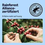 von Amazon Entkoffeinierte 100% Arabica-Kaffeepads, geeignet für Senseo-Maschinen, mittlere Röstung, 36 Stück (1 Packung mit 36 ​​Stück) – Rainforest Alliance-zertifiziert
