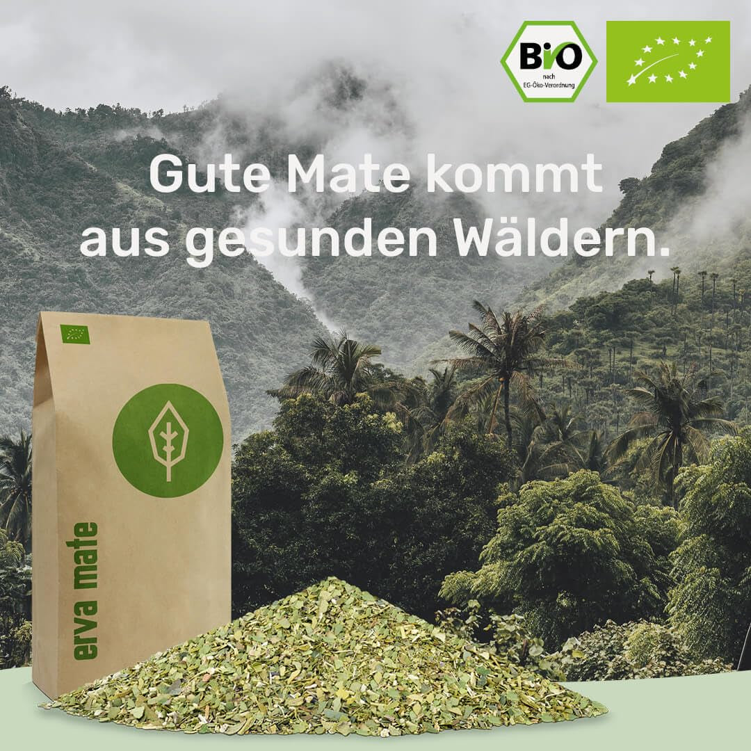 Mate-Tee-Probierset ● 4 Sorten Bio-Mate-Tee ● je 100 g Erva Mate + Yerba Mate + Grüner Mate-Tee + Gerösteter Mate-Tee