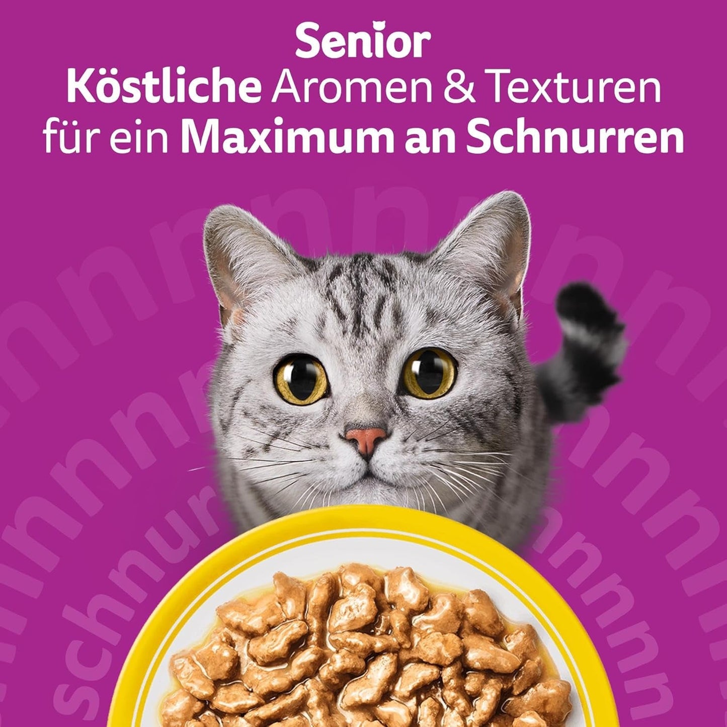 Whiskas 7+ Nassfutter für Katzen, Auswahl an Geflügel in Sauce, 24 x 85 g (2 Packungen) – hochwertiges Nassfutter ab 7 Jahren in 48 Portionsbeuteln