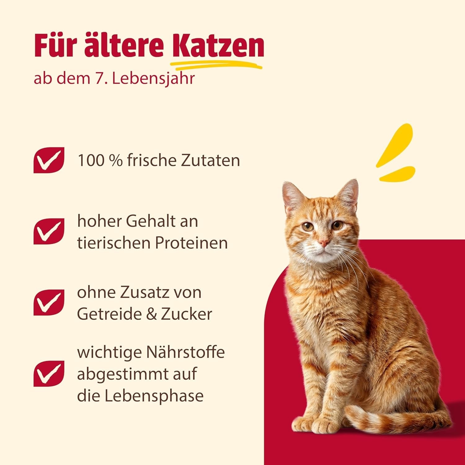 Animonda Carny Senior Nassfutter für Katzen mit Rind + Huhn + Käse (6 x 200 g), getreide- und zuckerfreies Nassfutter für Katzen ab 7 Jahren, mit frischen und fleischigen Zutaten