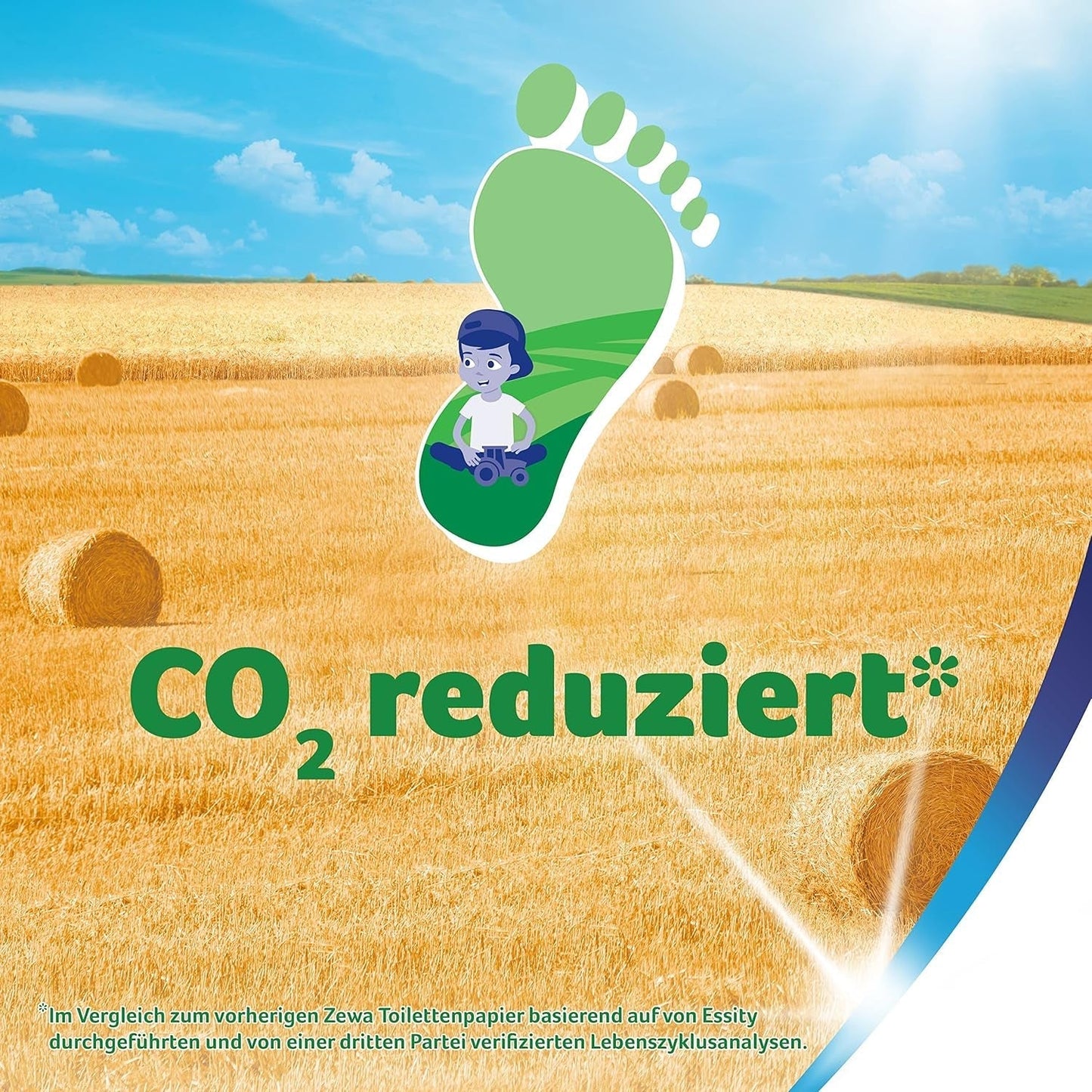 Zewa Proven – 48 Rollen – Das erste Toilettenpapier mit Strohanteil – 3 Schichten