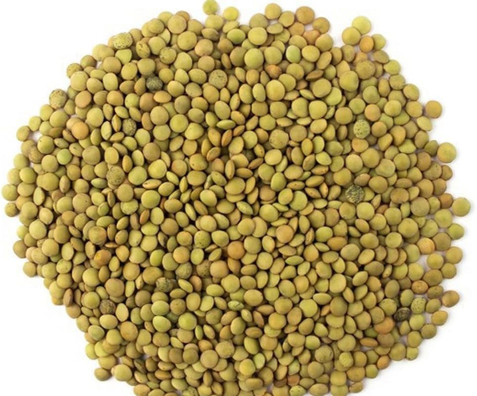 Grüne Linsen – Sorte Laird, 1 kg Packung | Premium-Qualität, ganze Linsen | Reich an Proteinen und Ballaststoffen | Vegan, gentechnikfrei | Ideal für Suppen, Salate, Currys und die Zubereitung von Mahlzeiten