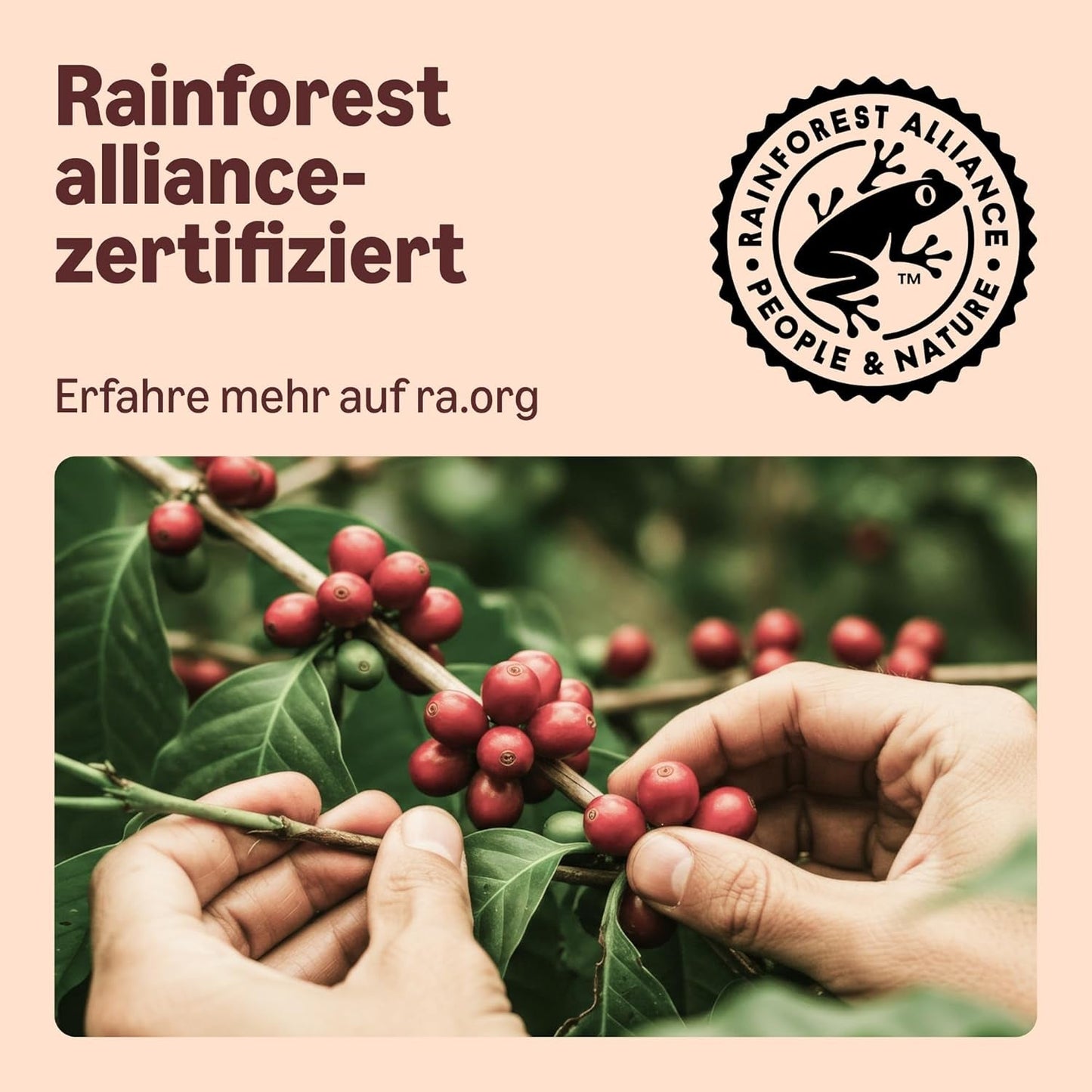 Von Amazon Heimkompostierbare Kaffeekapseln, kompatibel mit Nespresso, 100 % kolumbianischer Arabica, 20 Stück – Rainforest Alliance-zertifiziert
