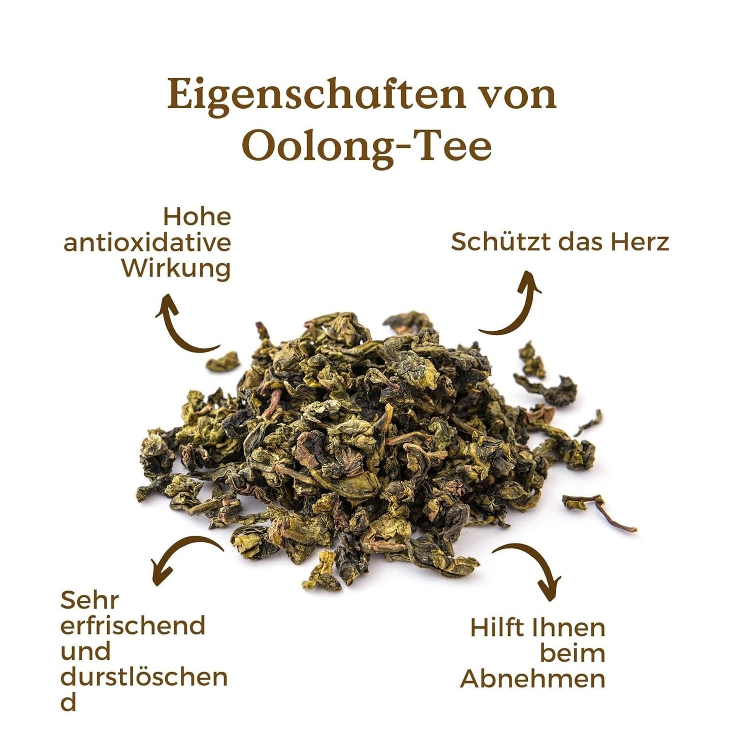 Bio Oolong Tee 100 G (50 Tassen) | Tie Guan Yin Oolong Tee REPLANT