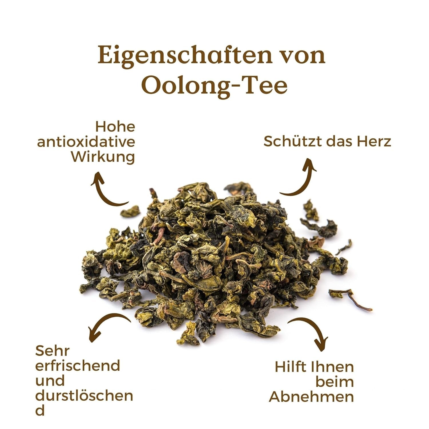 Bio Oolong Tee 100 G (50 Tassen) | Tie Guan Yin Oolong Tee REPLANT
