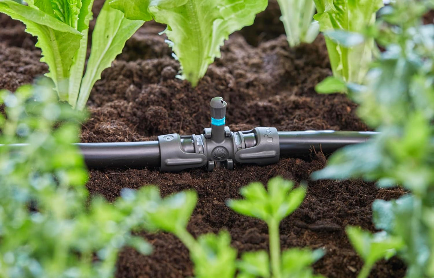 Gardena Micro-Drip-System T-Stück für Sprühdüsen: Verbindung zwischen 13 mm Rohren und einer Sprühdüse, automatische Pflanzenbewässerung, schnelle und einfache Verbindungstechnik, wiederverwendbar (13206-20)