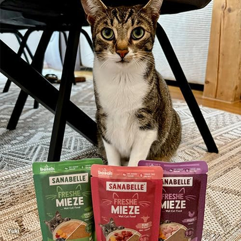 Sanabelle Freshe Mieze - Mixtray | 10 x 100g Mixpack | 4 köstliche Sorten Katzenfutter zum Probieren | Gedämpftes Nassfutter für Katzen, wie frisch gekocht