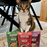 Sanabelle Freshe Mieze - Mixtray | 10 x 100g Mixpack | 4 köstliche Sorten Katzenfutter zum Probieren | Gedämpftes Nassfutter für Katzen, wie frisch gekocht