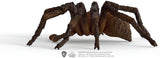 Schleich 13987 Aragog, ab 6 Jahren, HARRY POTTER – Spielfigur, 17 X 8 X 14 cm Actionfiguren Naty Shop