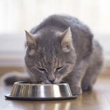 BEAPHAR - Nierendiät mit Huhn - Alleinfuttermittel für Katzen mit chronischer Niereninsuffizienz - Zur Unterstützung der Nierenfunktion - 100 g