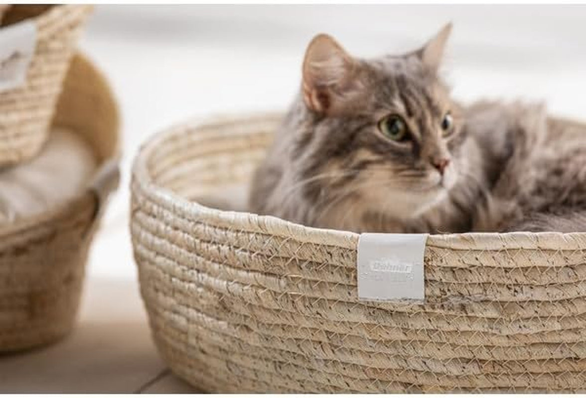 Betten, Decken & Möbel, Haustiere, Katzen, Katzenbetten, Katzenbetten, Matratzen