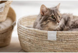 Betten, Decken & Möbel, Haustiere, Katzen, Katzenbetten, Katzenbetten, Matratzen