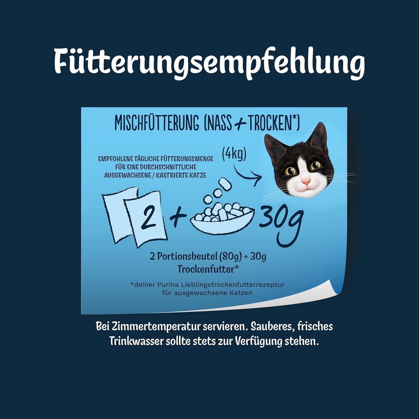 Felix Delicious Nass-Schnittfutter für Katzen in Gelee, Geschmacksvielfalt aus Wasser, 6er-Pack (6 x 10 Beutel à 80g)