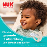 NUK Perfect Match Luftschnuller für Babys | 6-18 Monate | Kieferorthopädische Schnuller, die die Luftzirkulation fördern und durch Speichel verursachte Hautausschläge verhindern | 95 % Akzeptanz bei Babys** | Disney Winnie Puuh | 2 Stück