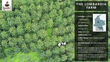 Iguaque-Kaffee 1000gr | Premium Kaffee ganze Bohnen 100% Arabica aus Kolumbien | Familienbetrieb - Single Origin Kaffeebohnen - Nachhaltige eigene Plantage im Hochland - Kräftiges Aroma