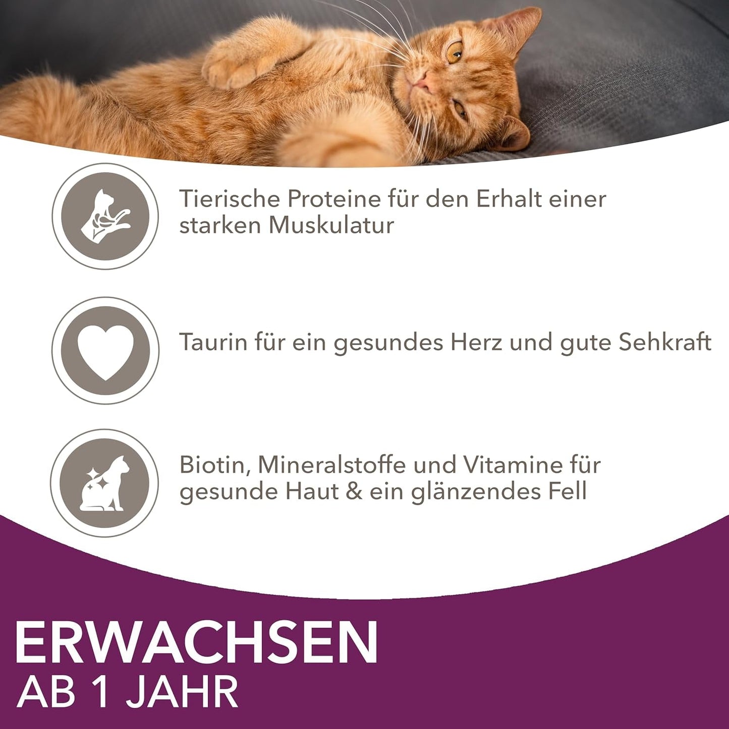 IAMS Delights Land & Sea Collection Nassfutter für Katzen – Fleisch- und Fischsortiment, Multipack in Soße, Nassfutter für Katzen ab 1 Jahr, 72 x 85 g