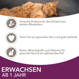 IAMS Delights Land & Sea Collection Nassfutter für Katzen – Fleisch- und Fischsortiment, Multipack in Soße, Nassfutter für Katzen ab 1 Jahr, 12 x 85 g
