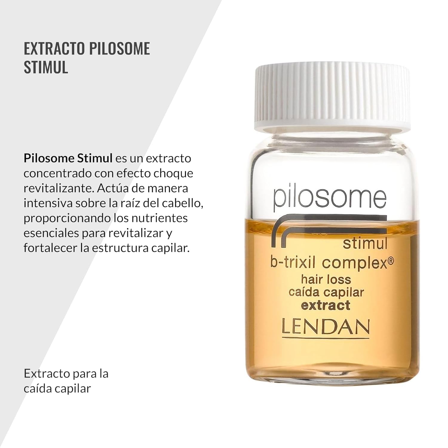 Behandlung gegen Haarausfall bei Frauen und Männern, Pilosome Stimul B-Trixil-Komplex, 12 x 6 ml Pilosome-Haarpflege