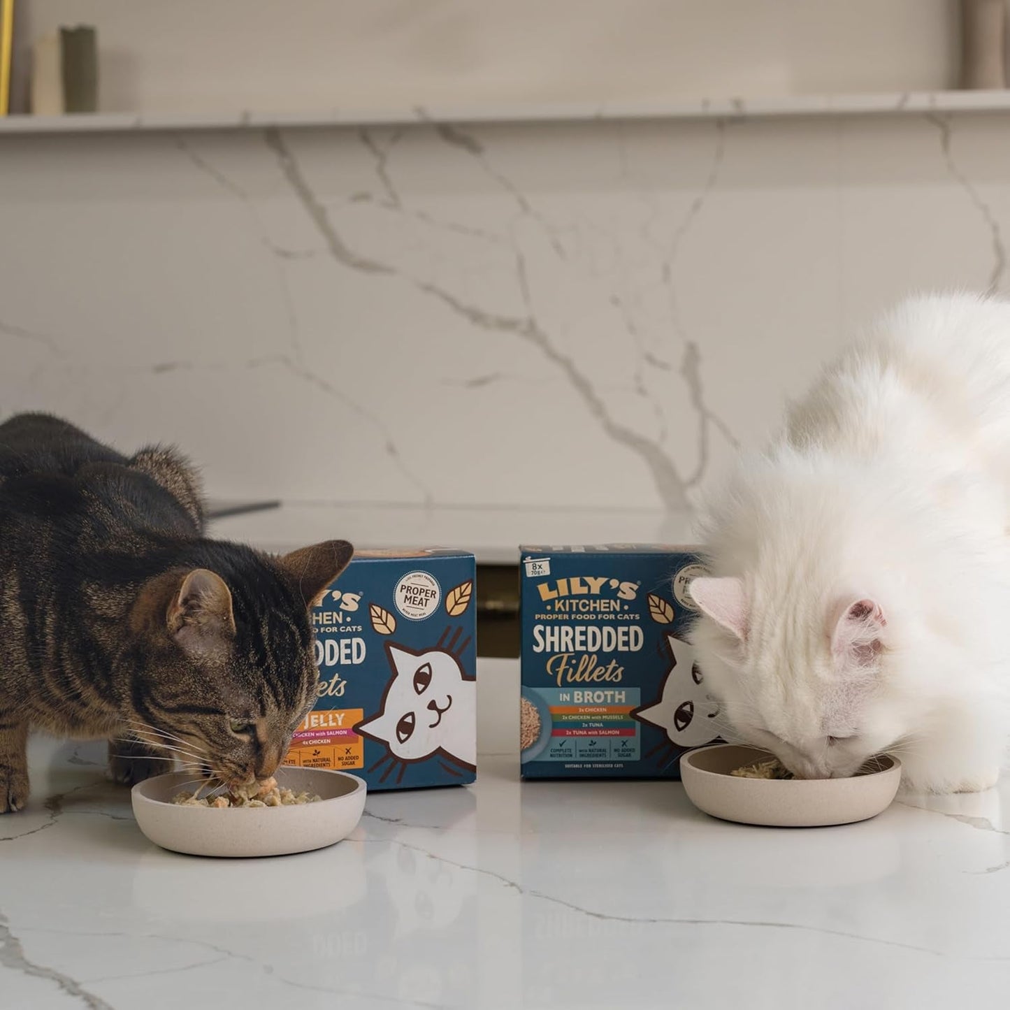 Gehackte Filets in Brühe mit Thunfisch und Lachs, zubereitet mit natürlichen Zutaten, Lily's Kitchen, Nassfutter für ausgewachsene Katzen, 70g-Box