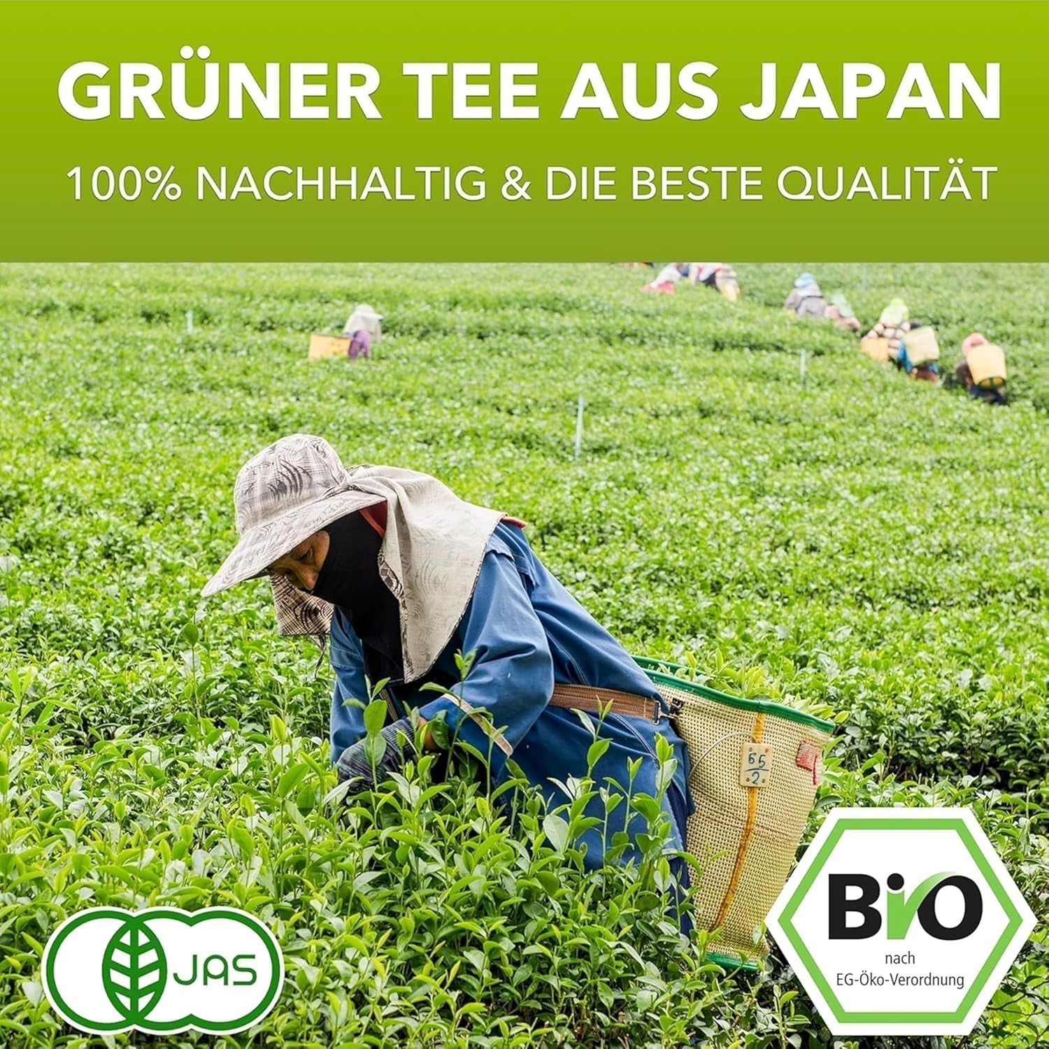 Matchamagic – Bio-Matcha-Latte-Pulver aus Japan mit Kokosblütenzucker für einen leckeren Tee